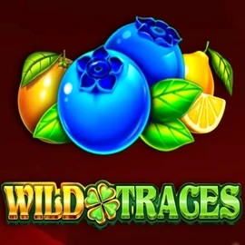 Play Wild Traces slot by Amusnet Interactive on winbeatzz.de